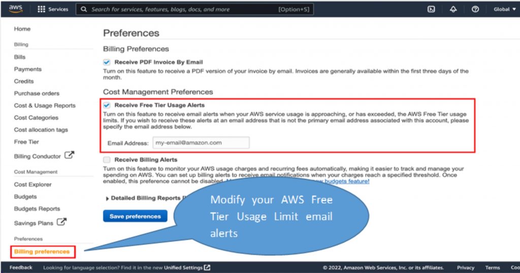 AWS Free Tier Billing Preferences